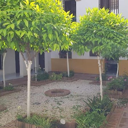 Precioso Apartamento Junto A Plaza La Corredera Córdoba Eksteriør bilde