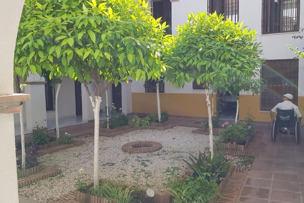 Precioso Apartamento Junto A Plaza La Corredera Córdoba Eksteriør bilde